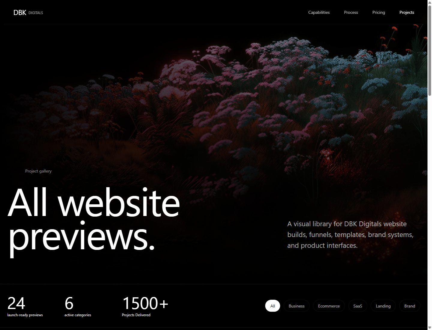 DBK projects gallery website preview